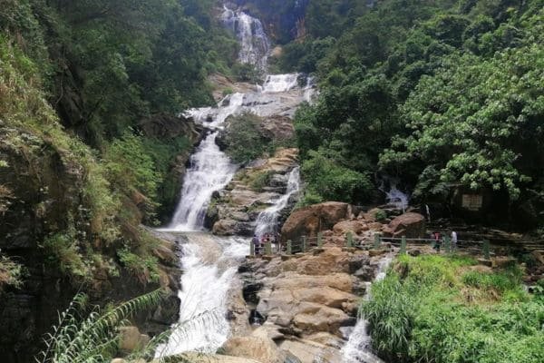 Views Lanka Tours