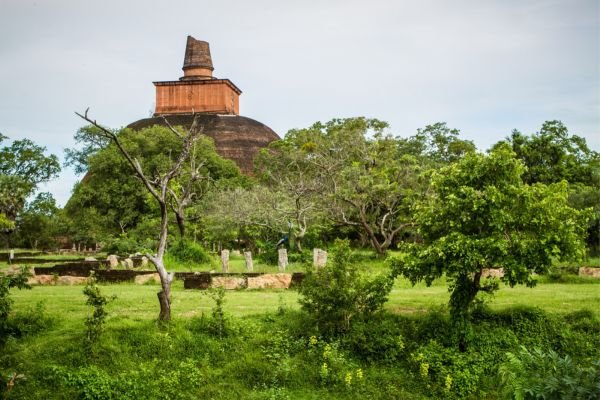 <span> Day 3  </span>Anuradhapura