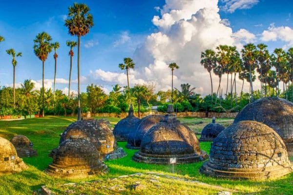 Views Lanka Tours