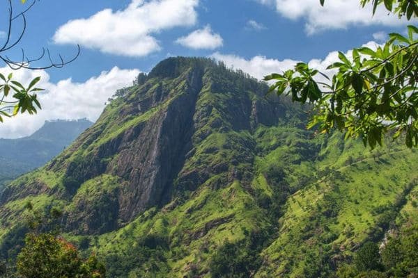 Views Lanka Tours