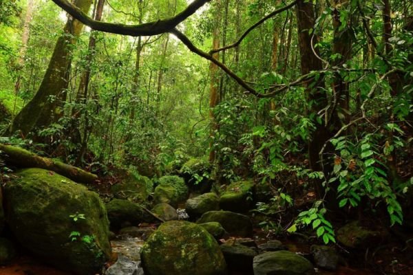 Trekking and Hiking in Sri Lanka 6