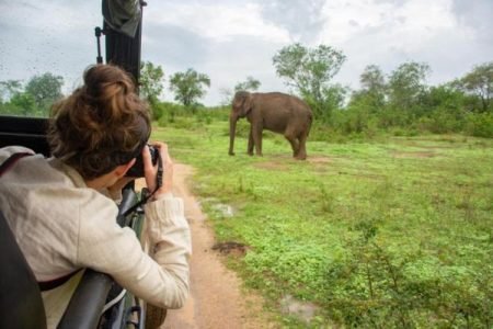 Discover the Thrill: Sri Lanka’s Safari Wonders