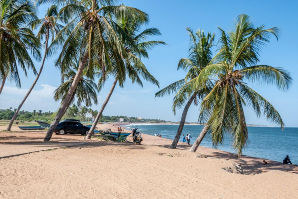 Views Lanka Tours