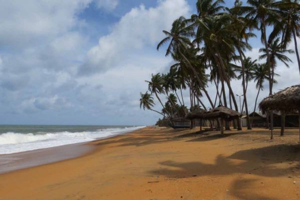Views Lanka Tours