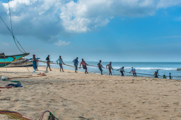 Views Lanka Tours