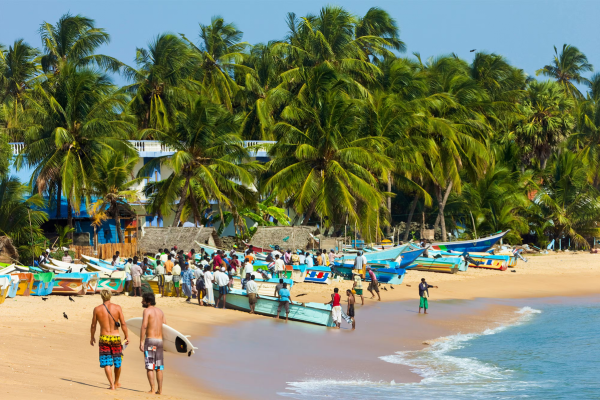 Views Lanka Tours
