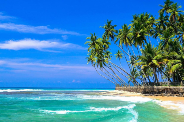 Views Lanka Tours