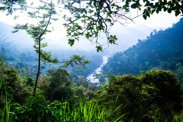 Views Lanka Tours