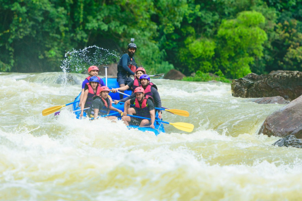 Views Lanka Tours