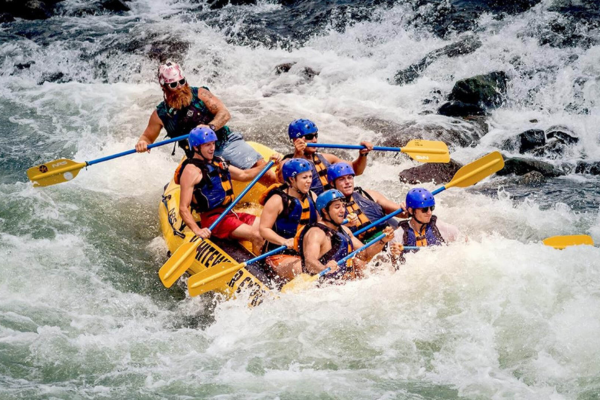 Views Lanka Tours