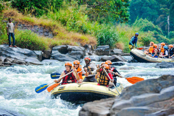 Views Lanka Tours