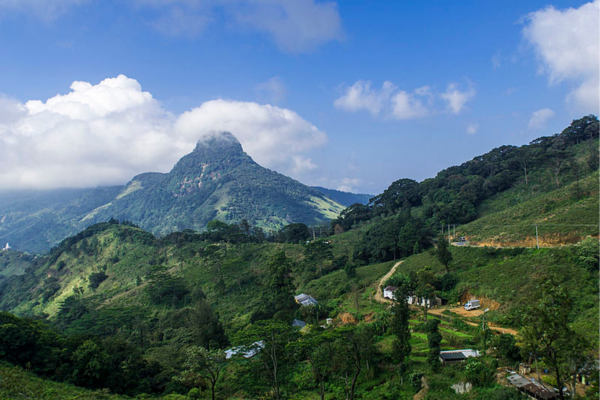 Views Lanka Tours