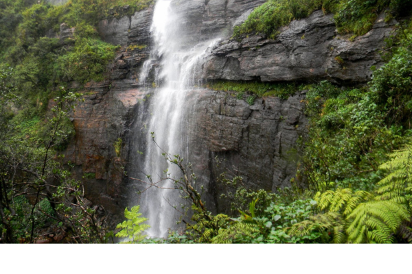 Views Lanka Tours