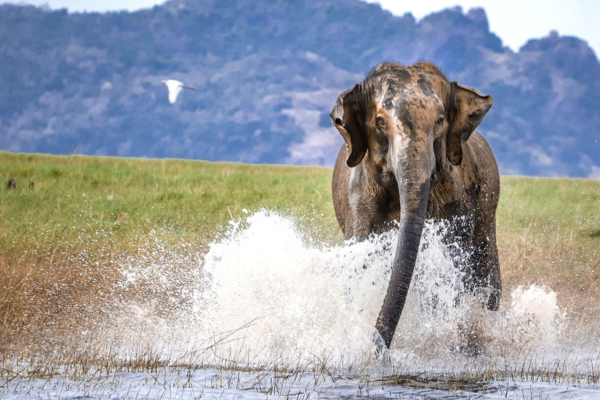 Views Lanka Tours
