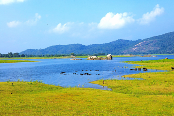 Views Lanka Tours