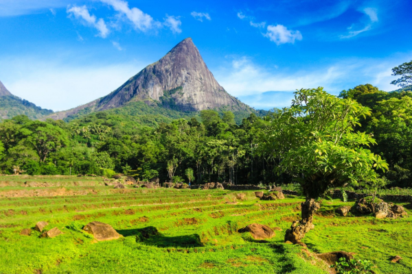 Views Lanka Tours