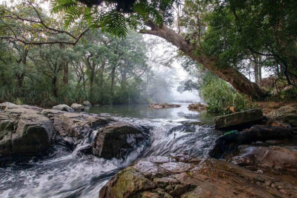 Views Lanka Tours