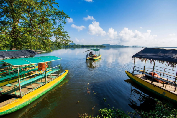 Views Lanka Tours