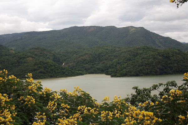 Views Lanka Tours