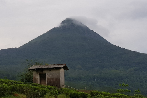 Views Lanka Tours