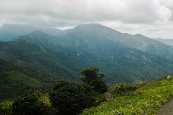 Views Lanka Tours