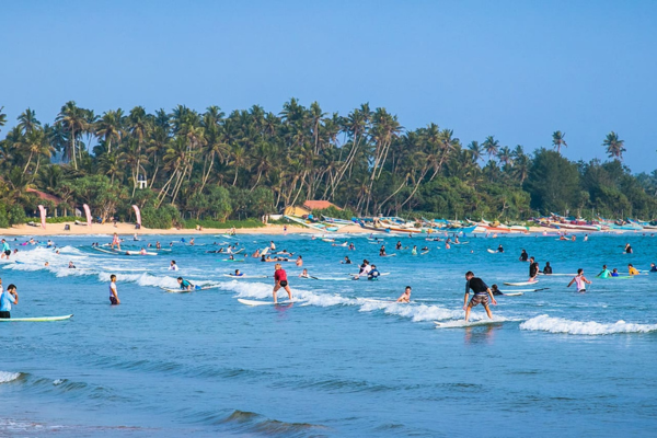 Views Lanka Tours